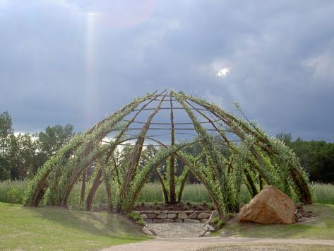 Willow Dome, Rose Garden Design, Plant Structure, Garden Vines, Areas Verdes, Outdoor Living Design, Garden Arches, Garden Tool Set, Garden Trellis