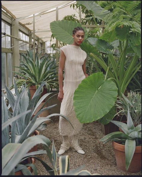 Karly Loyce, Greenhouse Photoshoot, Wow Photo, Nursery Style, Style Magazine, Style Spring, Plant Nursery, Fashion Photoshoot, Spring 2017