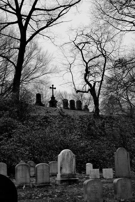 Graveyard Cemetery Headstones, Spooky Places, Old Cemeteries, Cemetery Art, Black And White Photograph, Arte Obscura, Haunted Places, Grave Marker, Dark Places