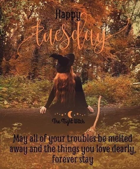 Weekend Wishes, Hello Tuesday, Autumn Photos, Night Witches, Witch Quotes, Fantasy Witch, Tuesday Quotes, Bad Witch, Daily Blessings