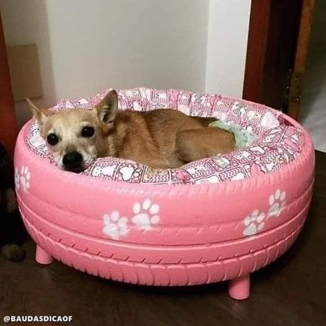 Diy Pet Bed, Tire Planters, Designer Dog Beds, Diy Dog Bed, Tyres Recycle, Old Tires, Dog Rooms, Animal Projects, Paw Prints