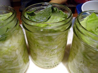 Five Minute Saurkraut--made this again today and it is seriously SO easy. All you need is a head of cabbage, salt, and canning jars. AND, it's naturally got beneficial probiotics! Fermented Sauerkraut, Sauerkraut Recipes, Natural Probiotics, Garden Recipes, Pickling Recipes, Fermented Foods, Yummy Yummy, Fermenting, Canning Jars