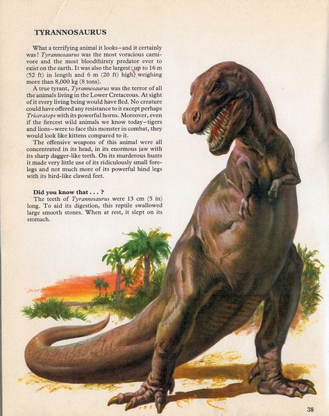 It Came From the 1970s! Originally published in Italy in 1971, Prehistoric Animals  is part of the Privates Lives of Animals  series, which ... Dimetrodon Art, Vintage Dinosaur Art, Prehistoric Animals Dinosaurs, Vintage Dinosaur, Dinosaur Facts, Prehistoric Wildlife, Prehistoric Dinosaurs, Dinosaur Illustration, Prehistoric World