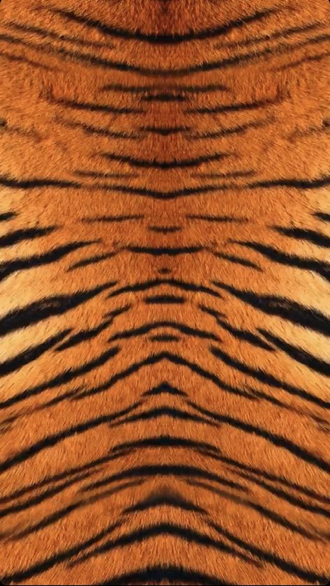 Tiger Print Wallpaper, Print Wallpaper, Tiger Print