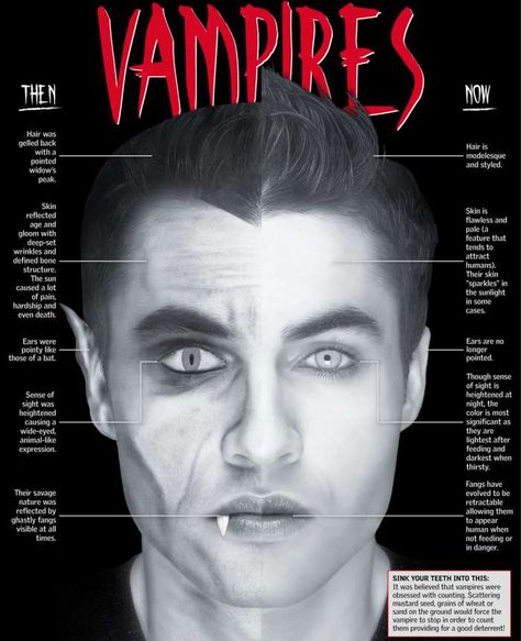 Vampires Then & Now Vampire History, Underworld Vampire, Vampire Mythology, Scary Vampire, Modern Vampires, Monster Legends, Sense Of Sight, Widow's Peak, Vampire Teeth