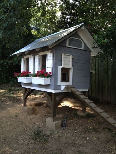 Pallet Coop, Chicken Coop Ideas, Chicken Coop Pallets, Cute Chicken Coops, Portable Chicken Coop, Backyard Chicken Coop Plans, Diy Chicken Coop Plans, Chicken Coop Run, Urban Chickens