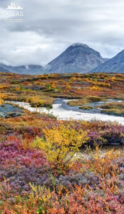 Tundra Aesthetic, Artic Tundra, Tundra Landscape, Tundra Biome, Biomes Project, Alpine Tundra, Frozen Tundra, Arctic Landscape, Arctic Tundra