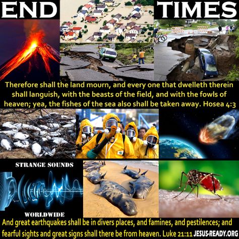 Bible Prophecy End Time Signs, End Times Quotes, End Of Times Bible Signs Scriptures, End Times Prophecy Signs The Bible, Rapture Signs End Time, Revelations Bible End Time, Signs Of End Times, Bible End Times, Revelation Bible Study