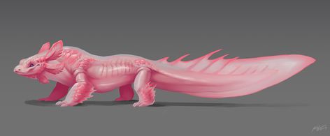 Salamander Creature Design, Axolotl Drawings, Beast Reference, Dragon People, Mythological Animals, Cool Monsters, Fantasy Beasts, Cute Fantasy Creatures, Monster Concept Art