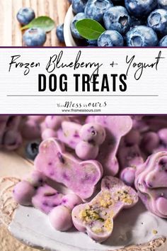 Fruit Dog Treats Homemade, Blueberry Yogurt Dog Treats, Dash Dog Treat Recipes, Blueberry Dog Treats Homemade, Yogurt Treats For Dogs, Fruit Dog Treats, Yogurt Dog Treats, Can Dogs Eat Blueberries, Yogurt Homemade