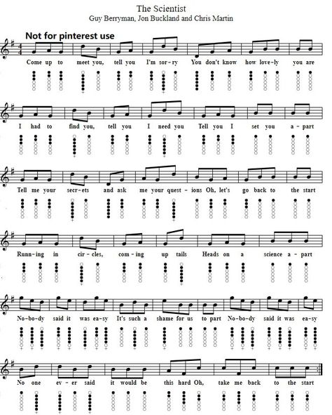 Tin Whistle Notes, Tin Whistle Sheet Music, Tin Whistle, Native American Flute, Flute Sheet Music, The Scientist, Ukulele Chords, Whistler, Coldplay