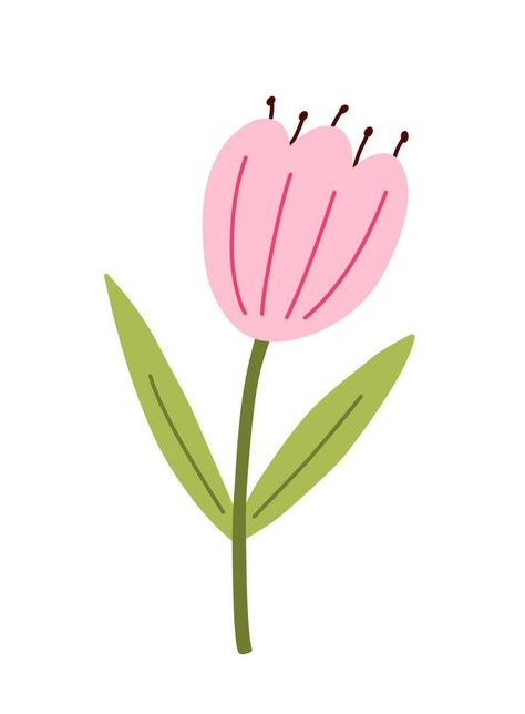 Cute pink tulip with leaves isolated on white background. Vector illustration in hand-drawn flat style. Perfect for cards, logo, decorations, spring and summer designs. Botanical clipart.