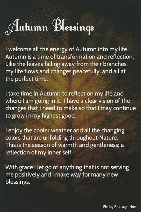 Notforgotten Farm : ~ A U T U M N ~ Notforgotten Farm, Autumn Blessings, Autumnal Equinox, Wheel Of The Year, The Embrace, Blessed Be, Kitchen Witch, Witchy Things, Witchy Stuff