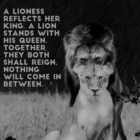 ❤️ Semper Fi, my beautifully brave warrior (Rod) ❤️ I love you so, handsome ❤️💋🇺🇸 ❤️😎😎❤️ We Are THE A Team!! ❤️ King Queen Quotes, Lioness Quotes, Lion Couple, Quotes Queen, Lion Quotes, Jace Wayland, Lion Love, King Quotes, Bravest Warriors