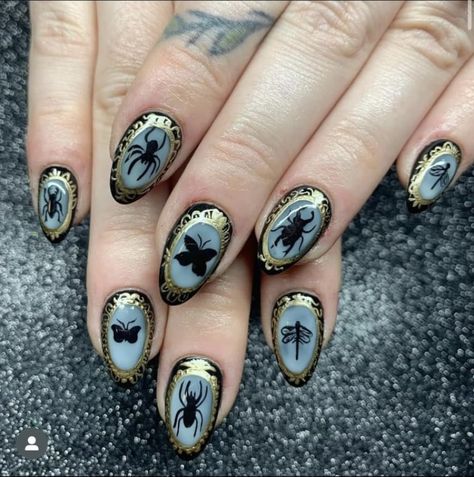 Halloween Aesthetic Nails Acrylic, Cute Creepy Nails, Witchy Pedicure, Plague Doctor Nails, Witchy Nails Halloween, Witches Nails Designs, Victorian Gothic Nails, Oddity Nails, Lunar Moth Nails