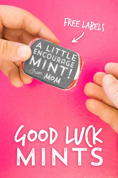 Do you know someone with a big test or challenge ahead of them? Give them a little encourageMINT with this tutorial and free printable. Diy Good Luck Gifts, Gift Tutorial, Free Label Templates, Cast Gifts, Dance Team Gifts, Mint Tins, Cheerleading Gifts, Labels Printables Free, Cheer Gifts