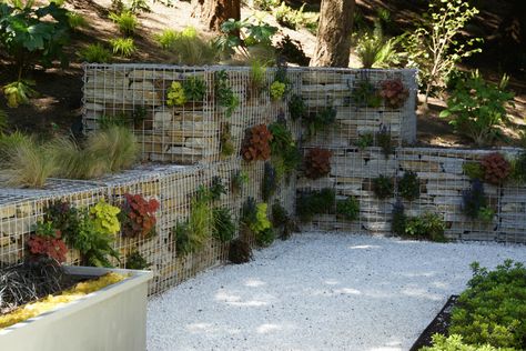 Gabion Wall, originating from an old Italian word, gabbione, with the meaning "big cage". Gabion walls are sturdy cages made out of galvanized welded mesh or stainless steel wire. These enclosures can be filled with a variety of stone, rock, or soil. They can even be planted. This landscaping product provides a unique and versatile architectural design. Gabion Wall Design, Gabion Cages, Gabion Retaining Wall, Gabion Baskets, Gravel Patio, Gabion Wall, Landscape Products, Casa Exterior, Wall Garden