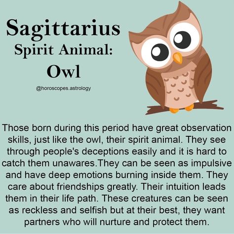 Sagittarius Spirit Animal, Sagittarius Animal, Spirit Animal Owl, Sagittarius Characteristics, Sagittarius Woman, Zodiac Sagittarius Facts, Sagittarius Personality, Owl Wisdom, Astrology Meaning