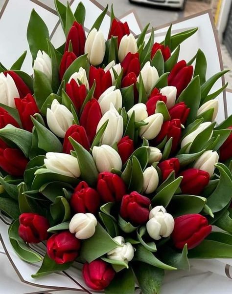 Tulip Flower Pictures, Pretty Flowers Pictures, Luxury Flower Bouquets, Very Beautiful Flowers, Bloom Where Youre Planted, Rose Flower Pictures, Fresh Flower Bouquets, Boquette Flowers, Flower Gift Ideas