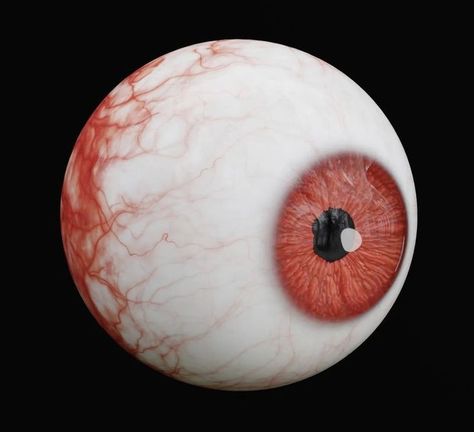 Eye Widget, Eyeball Aesthetic, Eyeball Diagram, Human Eyeball, Eye Icon, Red Pfp, Funny Gaming Memes, 3d Eye, Horror Drawing