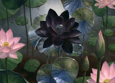 Lotus Aesthetic, Black Lotus Flower, Dark Lotus, Watercolor Lotus, Tattoo Watercolor, Lotus Flower Art, Black Lotus, Mtg Art, Lotus Art