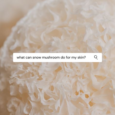 We're glad you asked! Snow mushroom extract deeply hydrates, improves elasticity, and calms redness. Similar to hyaluronic acid, Snow Mushroom Extract is an adaptogen that pulls moisture to the skin. But because the snow mushroom extract particles are smaller than hyaluronic acid, it penetrates the skin more easily. It also contains polysaccharides, which are anti-inflammatory and help to prevent water loss. Our moisturizer and serum are full of this incredible natural ingredient. ✨ Story Skin Care, Pot Marigold, Skin Fungus, Snow Mushroom, Wellness Habits, Sun Damaged Skin, Preventative Health, Marigold Flower, Improve Skin Tone