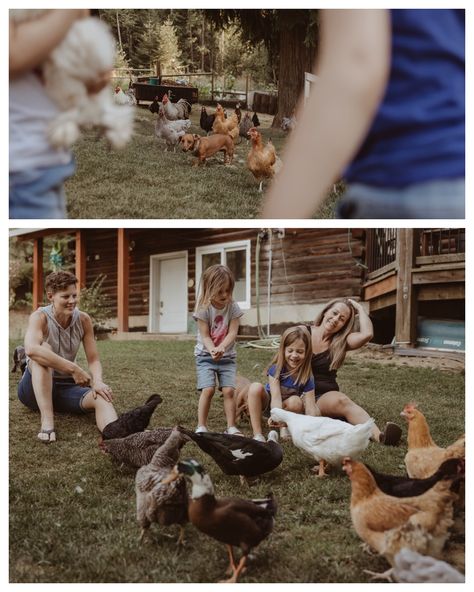 Summer is slipping away faster than I’d like to admit. I’m so glad I had the chance to capture this amazing family at their home, surrounded by their chickens, ducks, and dogs during an “Along for the Ride” session. 🥰🐓 Thank you for having me! #kootenayfamilyphotographer #kootenayphotographer #westkootenayphotographer Family Farm Photoshoot, Chicken Photography, Farm Photoshoot, Family Christmas Pictures, Family Photo Shoot, Along For The Ride, Photography Family, Family Photoshoot, Family Farm