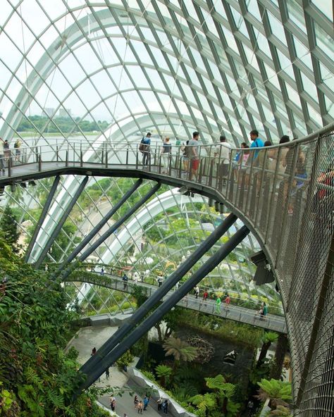 Singapore Garden, Arcology, Eco City, Residential Building Design, Cloud Forest, Green Oasis, Green Architecture, Cultural Architecture, Organic Architecture