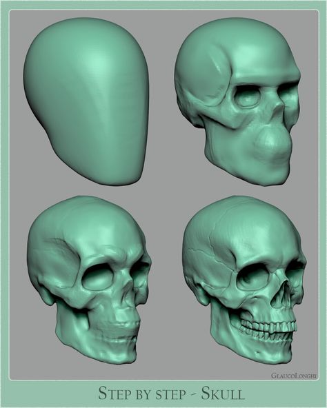 ArtStation - Anatomy Simplified Part 1 Anatomy Simplified, Human Skull Anatomy, Zbrush Anatomy, Anatomy Studies, Skull Anatomy, Head Anatomy, Skull Reference, Facial Anatomy, Zbrush Character