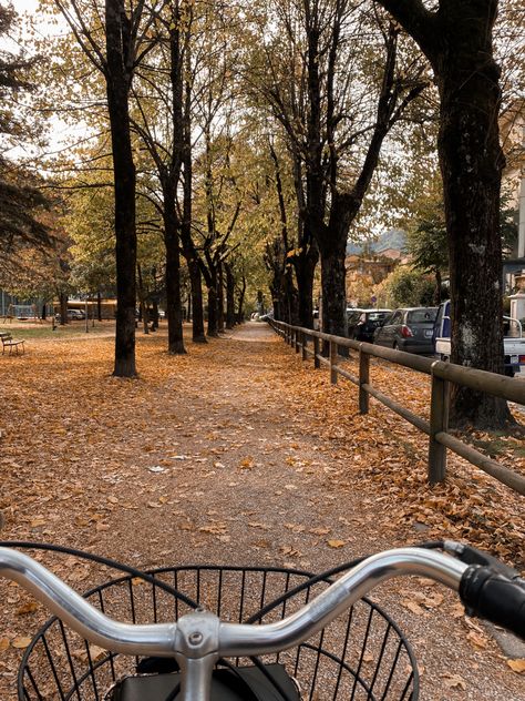 Autumn Bike Aesthetic, Autumn Bike Ride Aesthetic, Autumn Bike Ride, Fall Bike Ride Aesthetic, Fall Aesthetic Activities, Bright Fall Aesthetic, Fall Skateboarding, October Vision Board, Fall Date Aesthetic