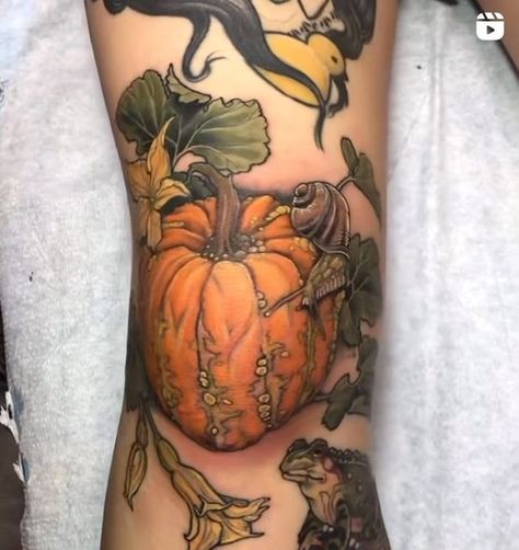 Dark Age Tattoo on Instagram: "Pumpkin knee by Cassidy. For booking info with @creature_tattooer please email inquire.creature.tattooer@gmail.com • • • • • #seattle #tattoo #seattletattoo #seattletattooartist #capitolhillseattle #pumpkintattoo #kneetattoo #colortattoo #boldtattoos #colorfulknee" Pumpkin Flower Tattoo, Pumpkin Patch Tattoo, Dark Age Tattoo, Pumpkin Tattoos, Age Tattoo, Seattle Tattoo, Pumpkin Tattoo, Spooky Tattoos, Pumpkin Flower