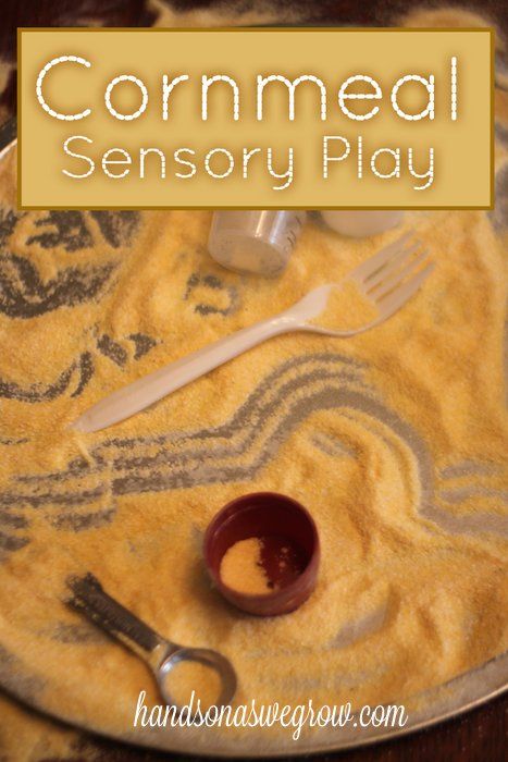 You have to be careful what you use for sensory play.  Some substances like cornmeal can choke a child if they put enough of it in their mouth and it gets all globby and stuck. Sensory Center, Healthy Harvest, Sensory Tables, Preschool Sensory, Sensory Items, Sensory Tubs, Preschool Fall, Corn Meal, Sensory Ideas