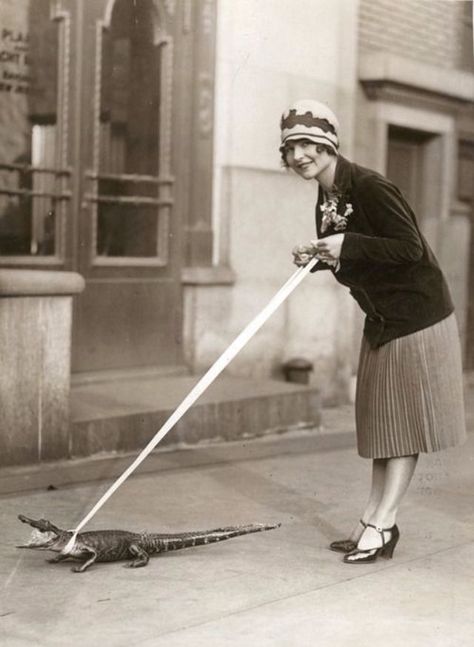 1920s Lifestyle, Speakeasy Basement, Pet Alligator, 1920s Party, People Poses, Roaring 20's, People Photos, Photos Vintage, Roaring Twenties