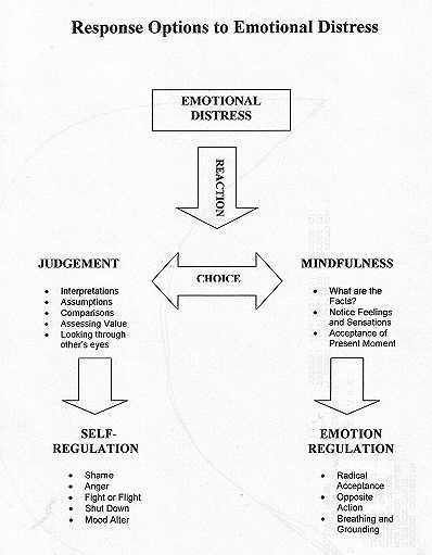 Non Judgemental Dbt, Turning The Mind Dbt, Worksheets For Borderline, Dbt Worksheet, Emotions Worksheet, Dbt Therapy, Emotion Regulation, Distress Tolerance, Dbt Skills