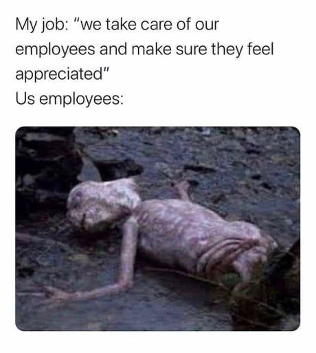 Job Humor, Workplace Humor, Work Quotes Funny, Feeling Appreciated, Work Jokes, Medical Humor, Office Humor, Funniest Memes, Work Memes