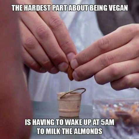 Almond Milk humor Hardest Quotes, Memes About Life, Vegan Jokes, Vegan Funny, Being Vegan, Funny Memes About Life, Vegan Memes, Vegan Quotes, Vegan Humor