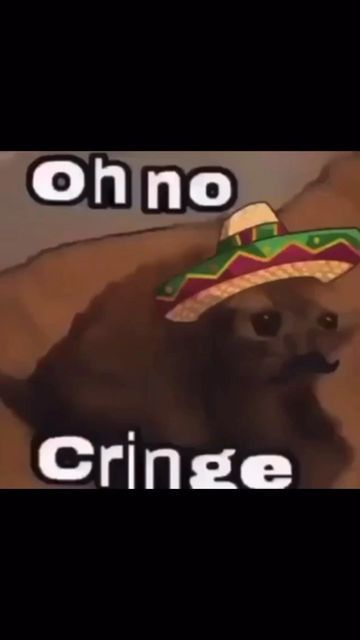 @oh_no_cringe_mexican on Instagram: "Not again" Oh No Cringe Cat, Cringe Wallpapers, Oh No Cringe, Reaction Photos, Not Again, December 8, Roasts, Comics, Collage