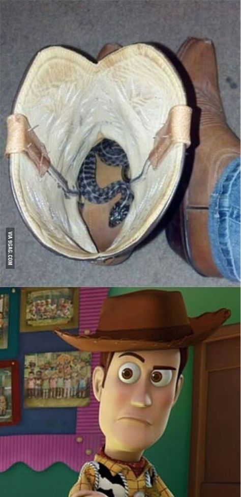 "There's a snake in my boot" what my friends say when I were a cowboy hat to school True Meme, Doug Funnie, Evil Smile, Mockingjay, A Snake, Have A Laugh, Disney And Dreamworks, Funny Pins, Disney Love