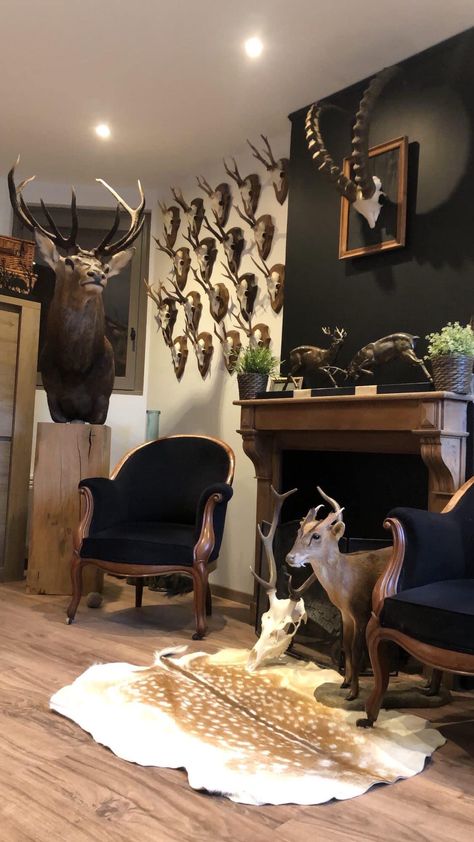 Trophy Wall Hunting, Vintage Hunting Lodge Decor, Deer Trophy Room, Trophy Rooms Hunting Ideas, Elk Hide Decor, Taxidermy Home Decor, Hunting Interior Design, Trophy Room Hunting Man Caves, European Deer Mount Ideas Display