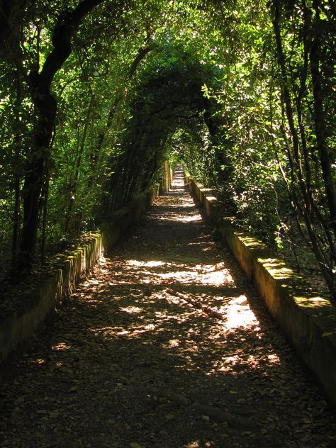 Visiting the Boboli Gardens in Florence Boboli Gardens, Italy Images, Visit Florence, Cities In Italy, Italian Garden, Charming Garden, Florence Italy, Best Cities, Dream Destinations