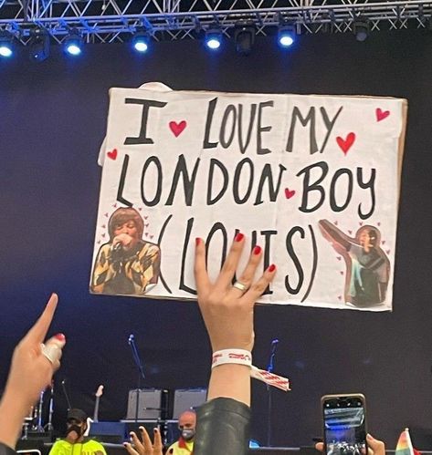 Louis Tomlinson Concert Signs, Louie's Life, Concert Signs, Louis Core, Punk Rock Princess, London Boy, Fan Poster, Harry Styles Concert, Concert Aesthetic