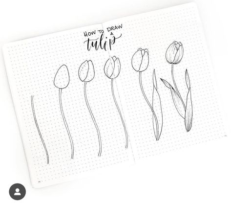 Doodles For Bullet Journal, Easy Flower Doodles, Hur Man Ritar Blommor, Tulip Drawing, Easy Flower Drawings, Bujo Doodles, Arte Doodle, Journal Layouts, Bullet Journal Spreads