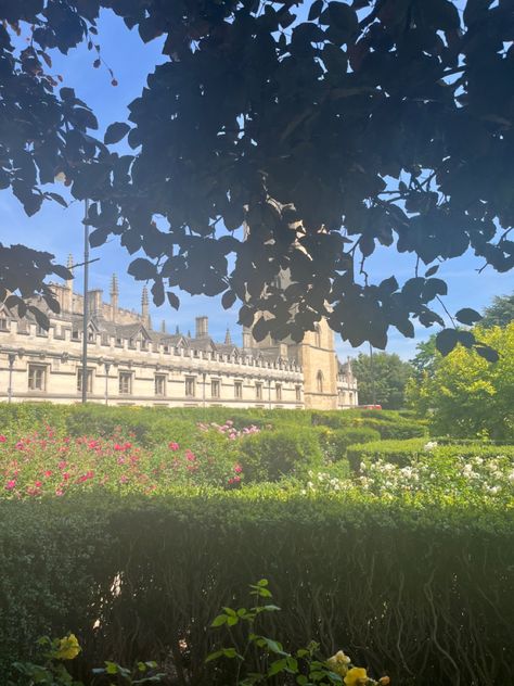 magdalen college (oxford university) pokes out of the sunlit rose bushes Magdalene College Oxford, Magdalen College Oxford, Academic Romanticism, Oxford Architecture, Magdalen College, Rose Bushes, Rose Bush, Oxford University, Botanical Garden