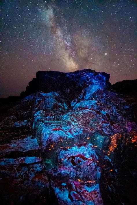 How to Use Ultraviolet Light for Creative Nature Photography Ultraviolet Photography, Creative Nature Photography, Landscape Practice, Uv Photography, Visible Spectrum, Space Cowboy, Multiple Exposure, Ultraviolet Light, Shine Your Light