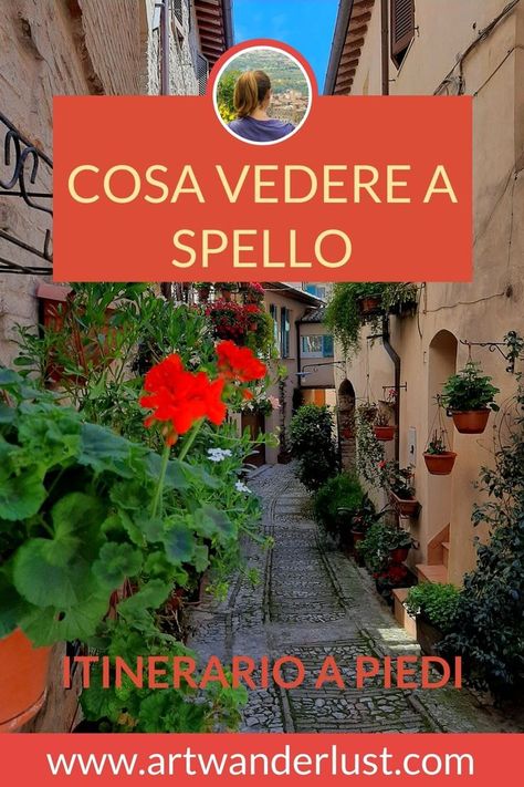 Cosa vedere a Spello: leggi l'articolo del blog Umbria Italia, Toscana Italia, Umbria Italy, Umbria, Around The Worlds, Italy, Plants, Travel