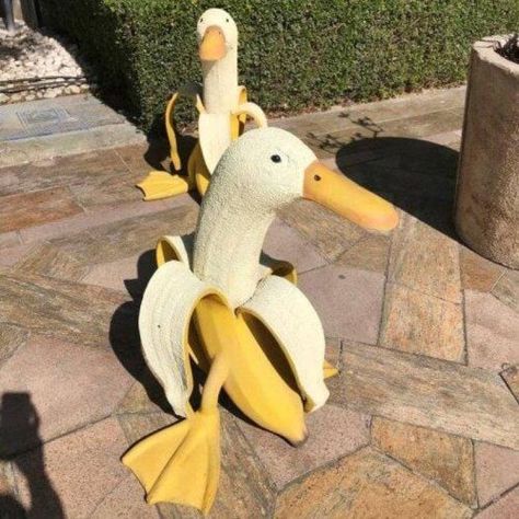 Banana Duck, Duck Garden, Duck Sculpture, Tea Pots Art, Cat Teapot, Wildflower Wreath, Duck Art, Inflatable Decorations, Rare Gifts