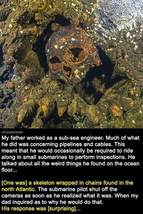 Ocean Enthusiasts Describe The Strange And Creepy Things They've Seen At Sea Scary Myths, Spooky Facts, Scary Ocean, Scary Facts, Bull Shark, True Interesting Facts, Creepy Things, Creepy Facts, Legends And Myths