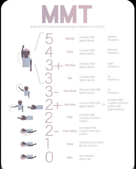 Physical Therapy Assistant Student, Muscle Chart, Limb Anatomy, Activities Adults, Nbcot Exam, Occupational Therapy Schools, Geriatric Occupational Therapy, Physical Therapy School, Therapy Fun