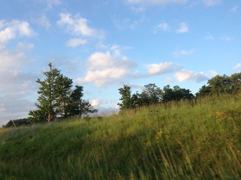 Good Bedtime Stories, Future Farms, Italy Summer, Northern Italy, Plant Mom, Pretty Places, Photography Inspo, My Happy Place, Happy Places