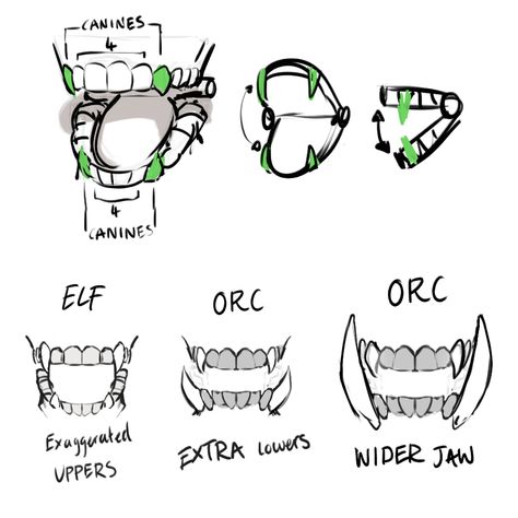 SB 🌌 on Twitter: "someone on tumblr asked about orc teeth, so here are some visual notes on orc teef https://t.co/nOeuQ1O8Ls" / Twitter Orc Teeth, Teeth Anatomy, Teeth Drawing, Perspective Drawing Architecture, Human Teeth, Sketching Tips, Mouth Drawing, Concept Art Tutorial, Visual Notes